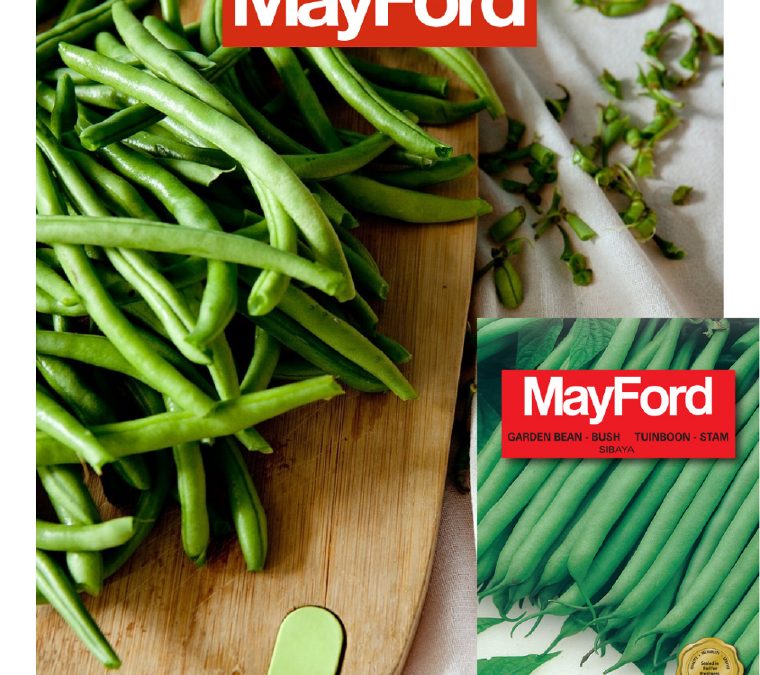 MayFord’s brand new bean, MayFord Sibaya!