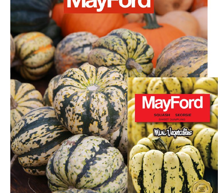 MayFord’s Sweet dumpling squash might look a bit funny but is absolutely yummy!