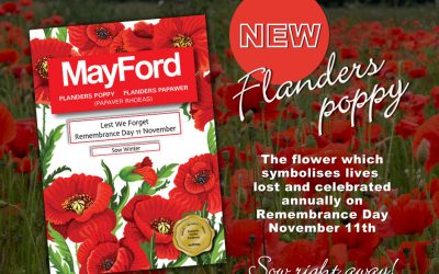 NEW FLANDERS POPPY RELEASE IN HONOR OF REMEMBRANCE DAY