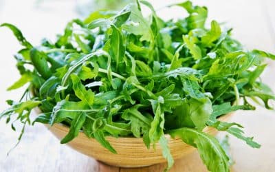 Garden Rocket Herb