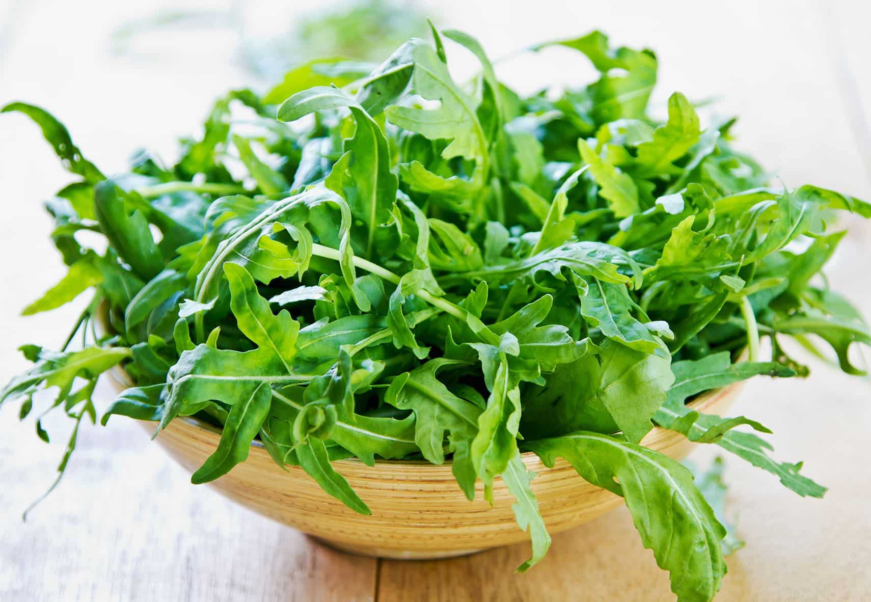 Garden Rocket Herb