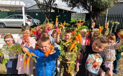“From Sowing to Growing and Educating In-between” – MayFord and Laerskool Muldersdrift Kleuter Akademie Join Forces for a Thriving Vegetable Garden Initiative.