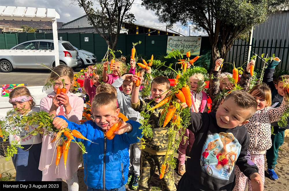 “From Sowing to Growing and Educating In-between” – MayFord and Laerskool Muldersdrift Kleuter Akademie Join Forces for a Thriving Vegetable Garden Initiative.