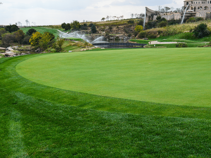 L-93 CREEPING BENTGRASS